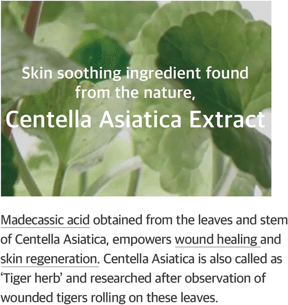 SOONDY CENTELLA ASIATICA ESSENCE